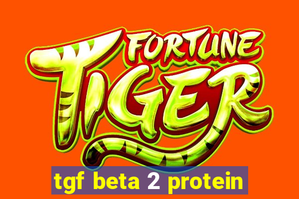 tgf beta 2 protein